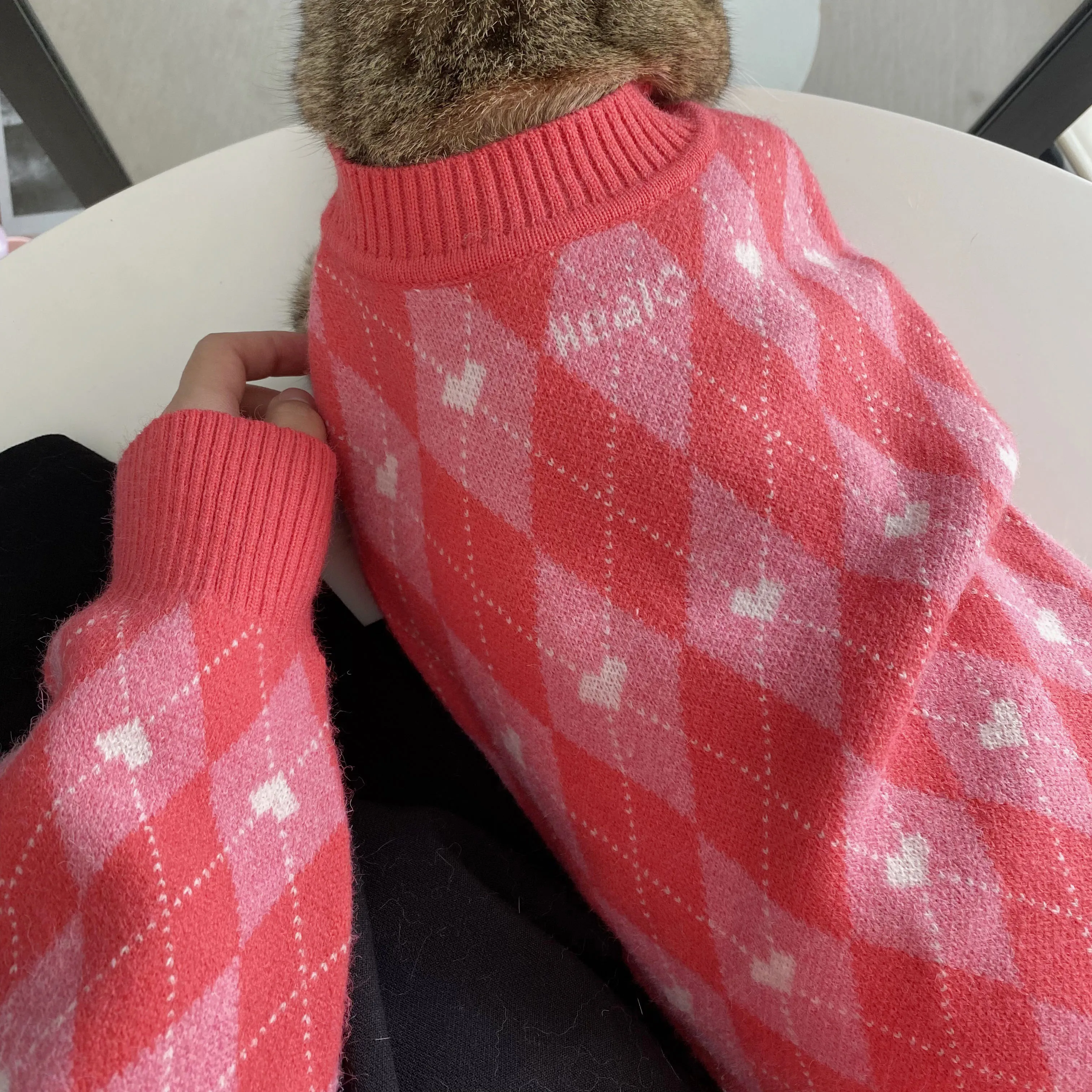 Argyle Plaid Pet Human Matching Cardigan